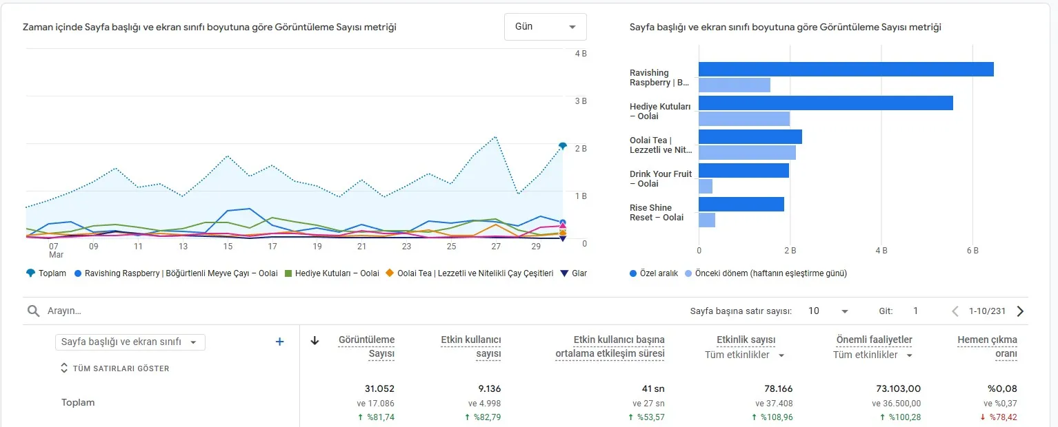 UX-Focused Experience and Performance Improvements on a Shopify E-Commerce Website 1 web gelistirme case 1